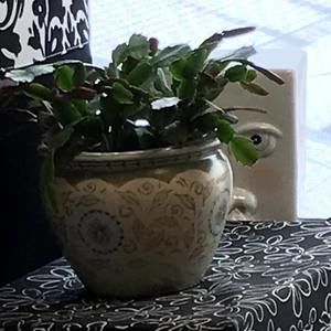 Meet your Posher, Deborah j